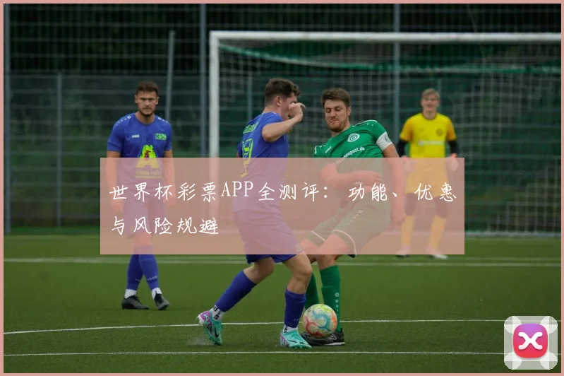 世界杯彩票APP全测评：功能、优惠与风险规避