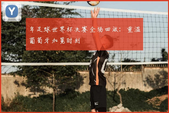 年足球世界杯决赛全场回放:重温葡萄牙加冕时刻