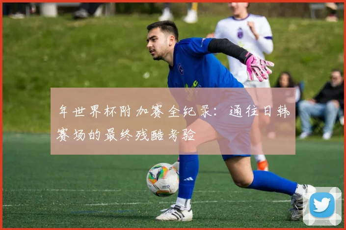 年世界杯附加赛全纪录：通往日韩赛场的最终残酷考验