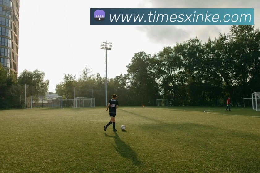 leyu乐鱼中国官方网站品牌故事