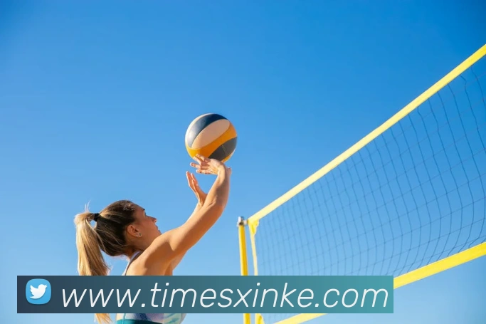 leyu乐鱼中国官方网站服务体系